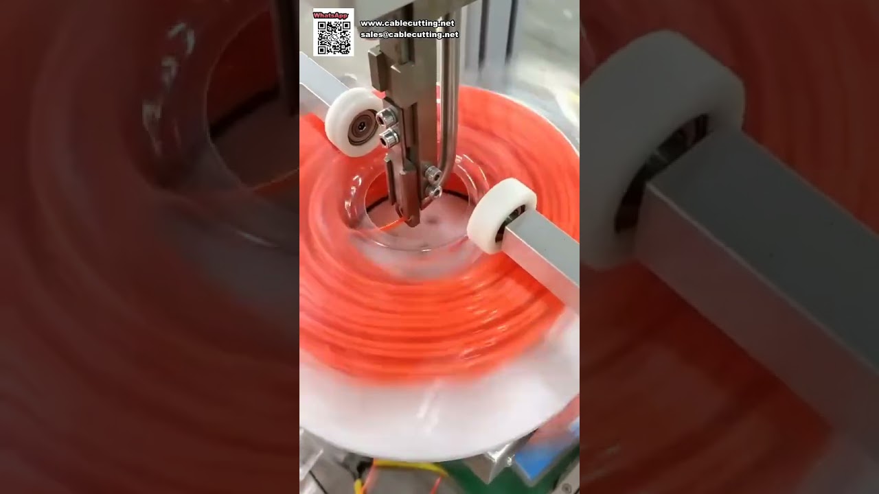 Máquina Envasadora Blister Totalmente Automática para Línea de Recorte Vertical de Bobinas