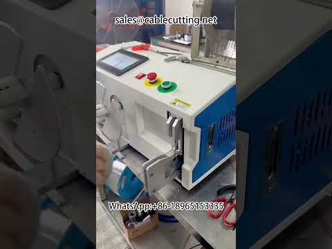 Máquina automática de clasificación, bobinado y atado: ordena, enrolla y embellece tus productos