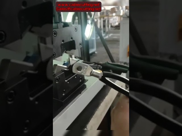 Matrices de Crimpado Hexagonal para Cable de 25 mm² - Moldes de Estampado para Terminales y Conectores