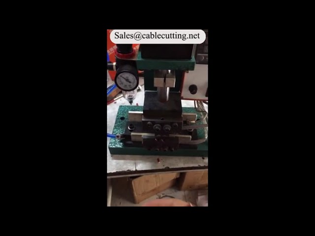Máquina peladora térmica eléctrica WPM-2015 | Pelado preciso para automatización