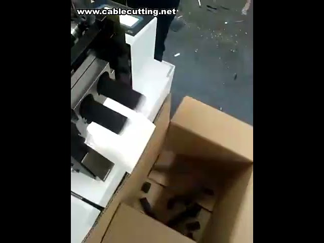 Máquina cortadora de bandas elásticas automática | Precio y eficiencia