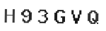 Verification Code Image